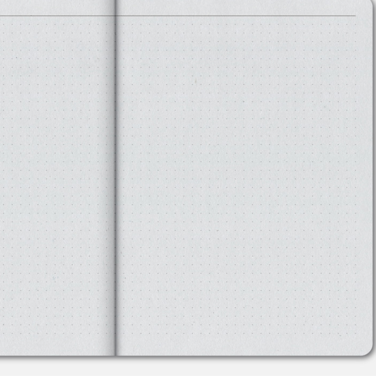 Papier Tigre, Carnet de notes - Pigeon
