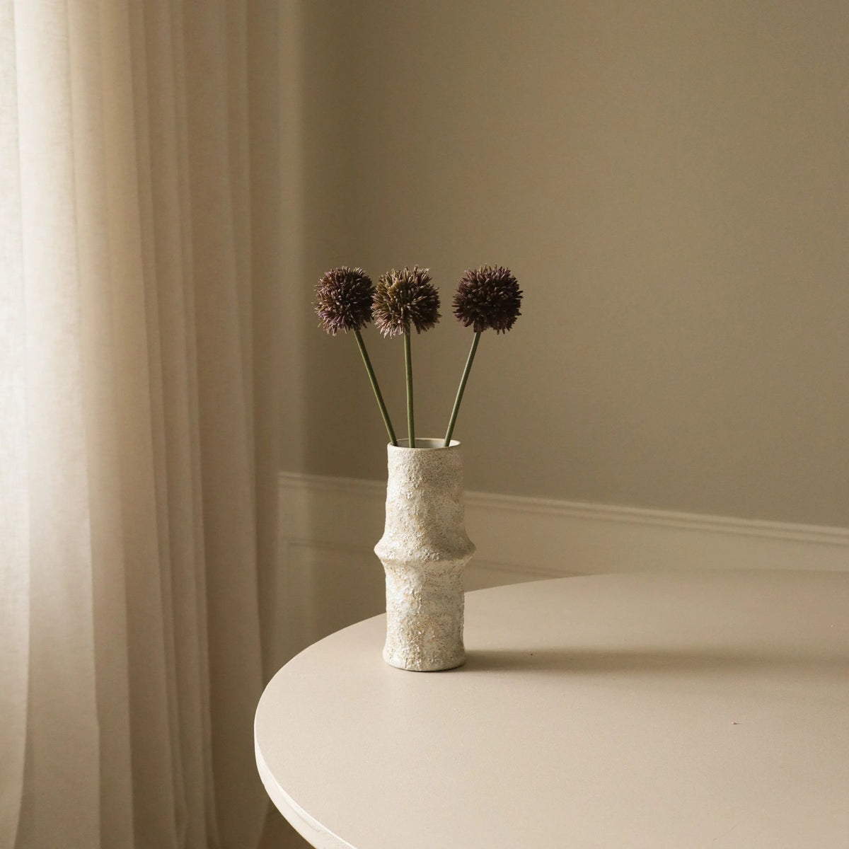 Botané, Allium - Violette