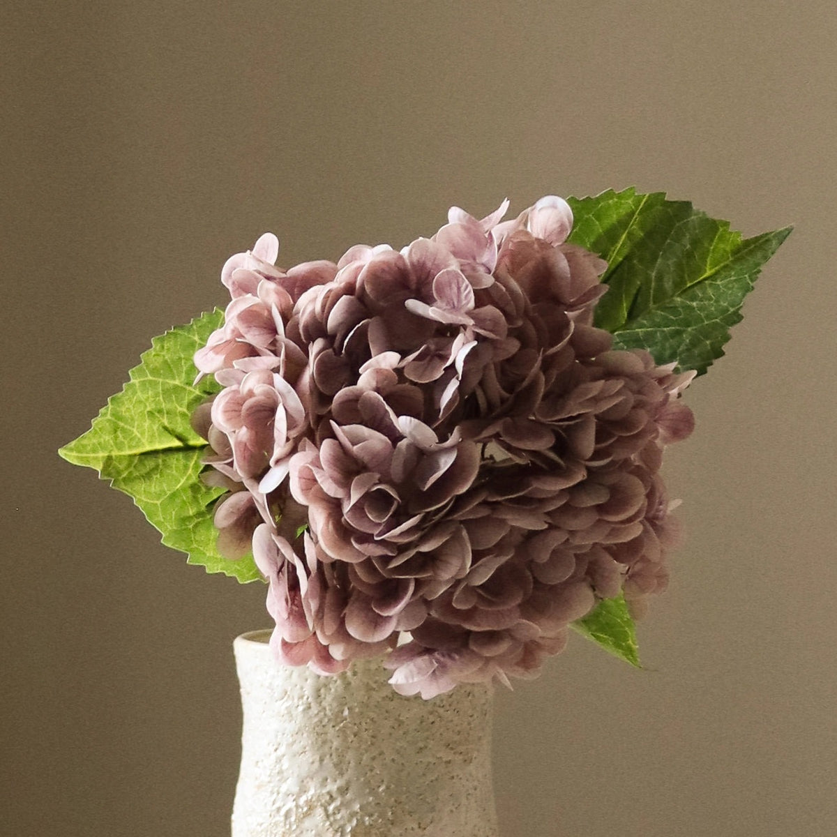 Botané, Hortensia - Violet clair