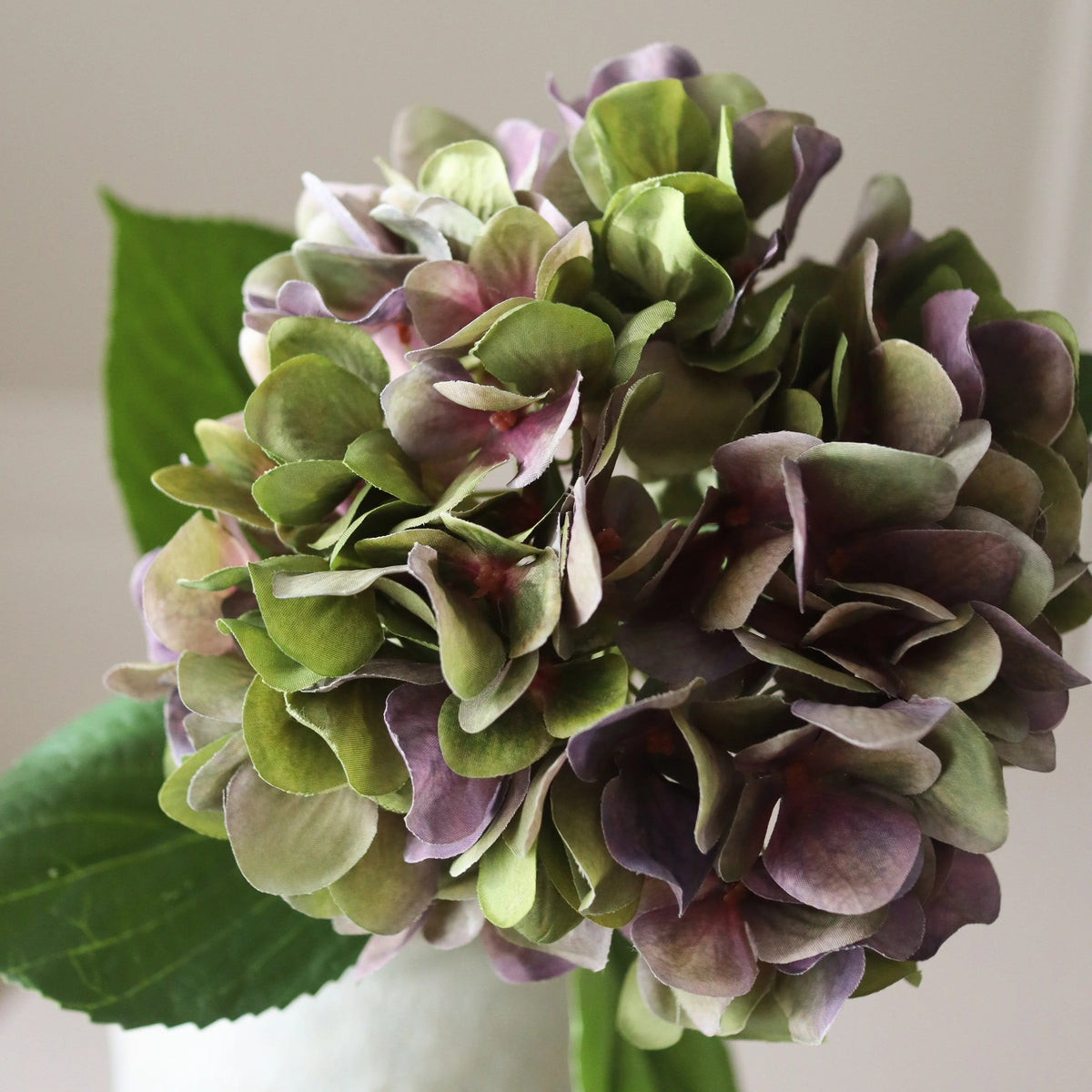 Botané, Hortensia - Violet Pale