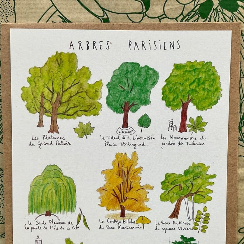 Ellimac Pinson, Petite carte A6 - "Arbres Parisiens"