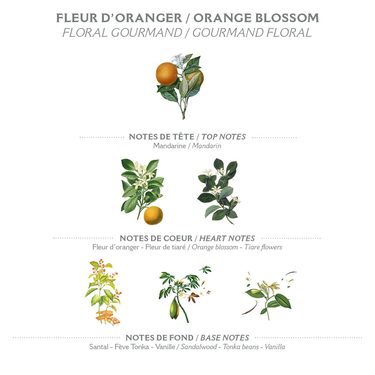 Panier des sens, Savon - Fleur d'oranger
