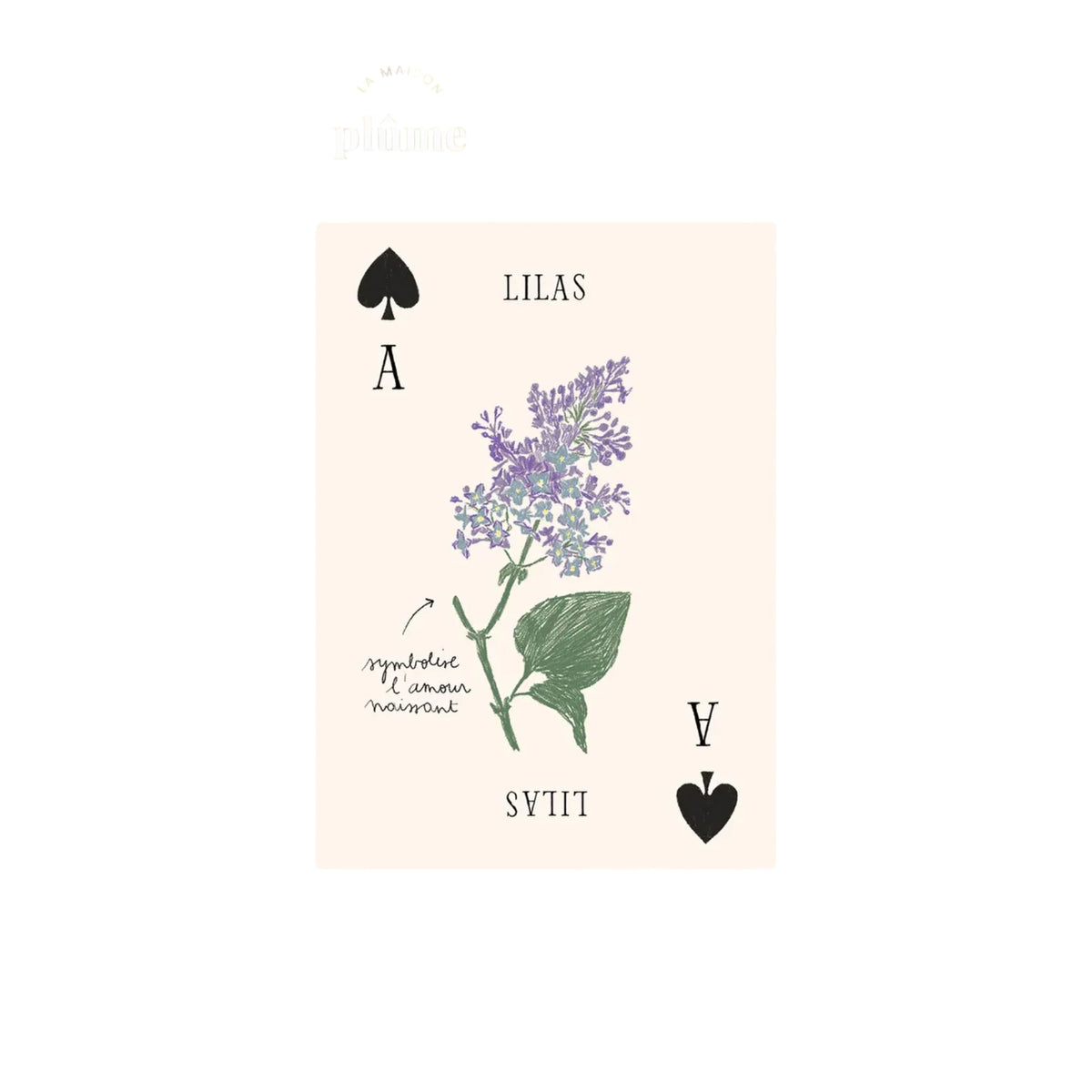 Zoé de Las Cases, Jeu de cartes Les fleurs