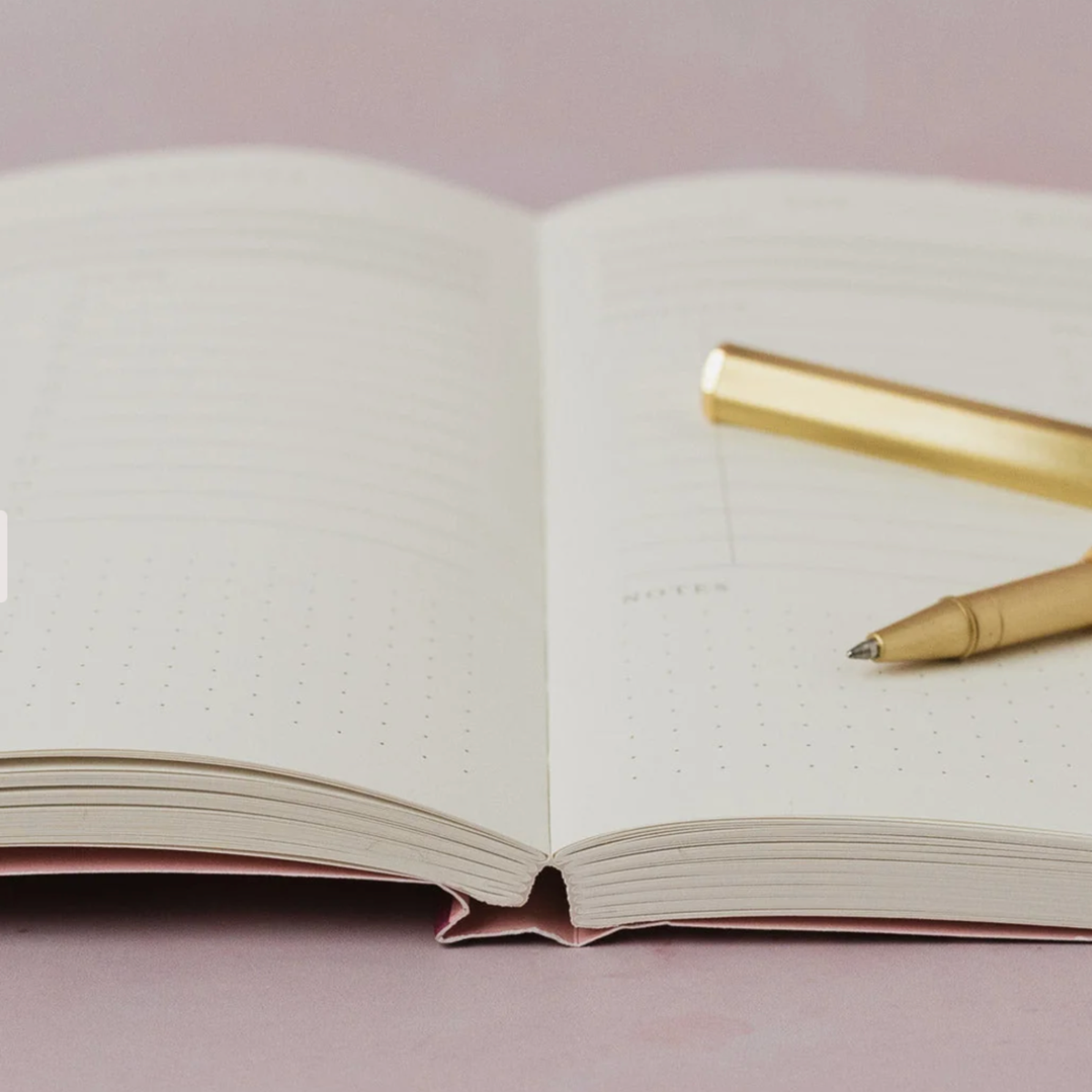 Sister Paper Co, Cahier Study Daily Planner - Coloré