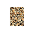 All The Ways To Say, Carte - Birthday leopard