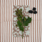 Serviette de table, Suzette à table - Iris Almond