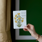 Paper Mirchi, Carte - Champaca Safran