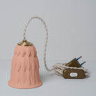 Atelier Föhn, Lampe - Feuille Pêche