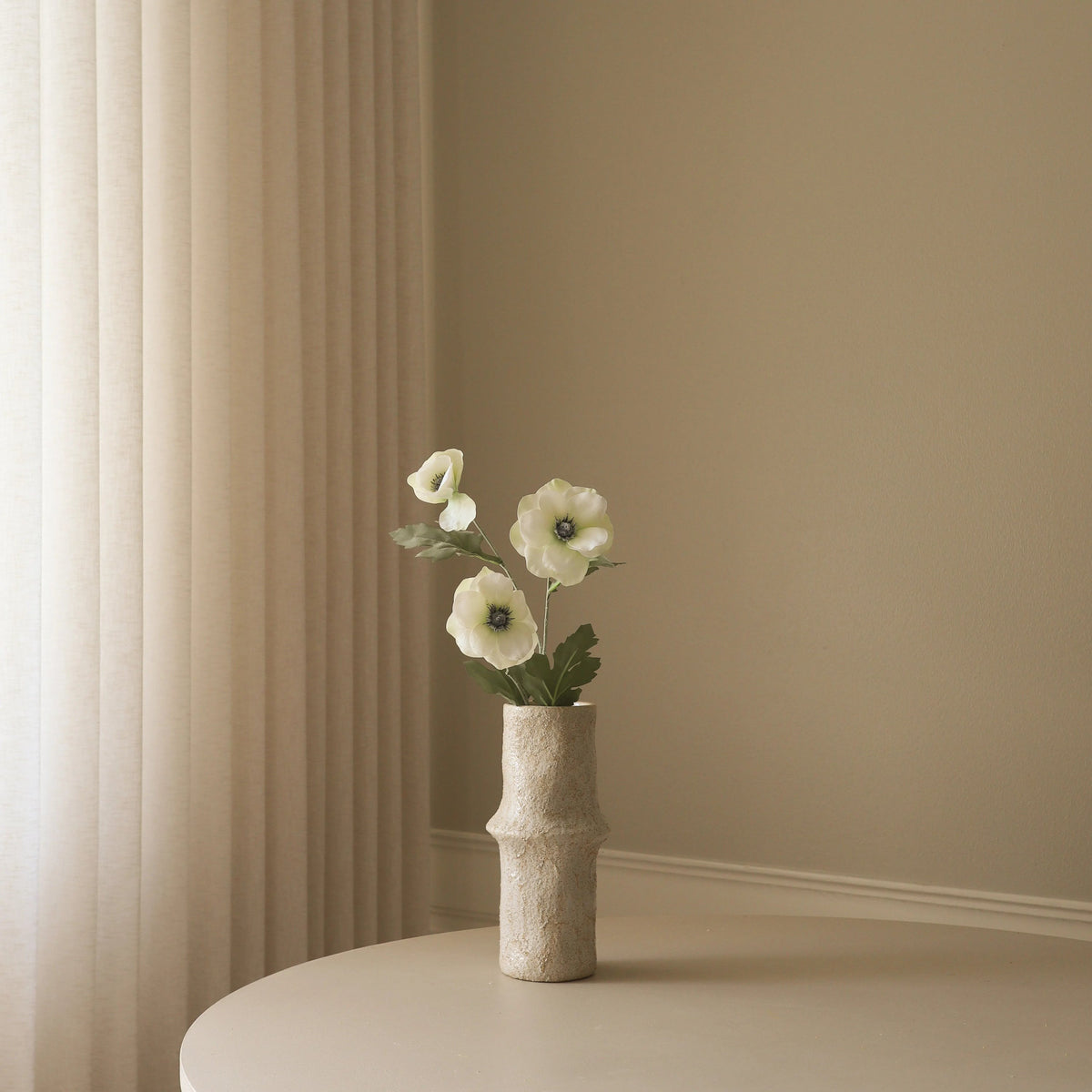 Botané, Anémone - Blanche
