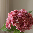 Botané, Hortensia - Rose