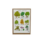 Ellimac Pinson, Petite carte A6 - "Arbres Parisiens"