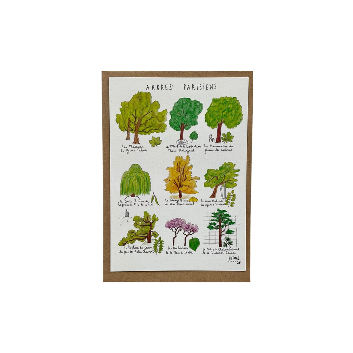 Ellimac Pinson, Petite carte A6 - "Arbres Parisiens"