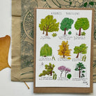 Ellimac Pinson, Petite carte A6 - "Arbres Parisiens"