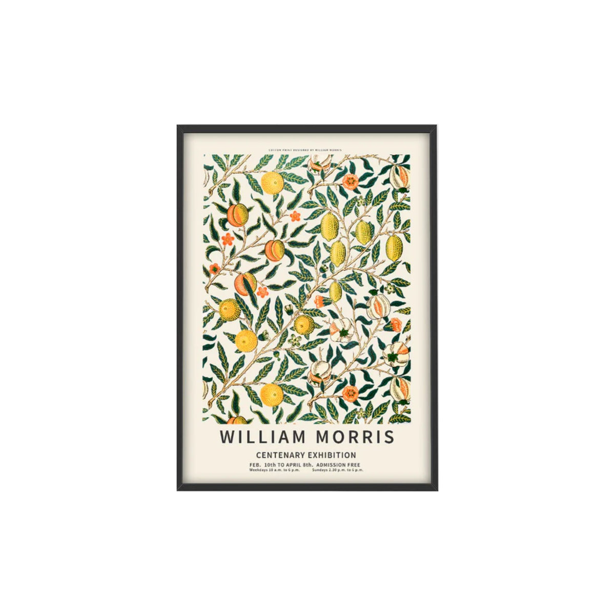 PSTR studio, Affiche - William Moris, Fruits