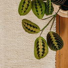 Tapis Nunamae - Lucas Ecru