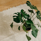 Nunamae, Tapis - Jude